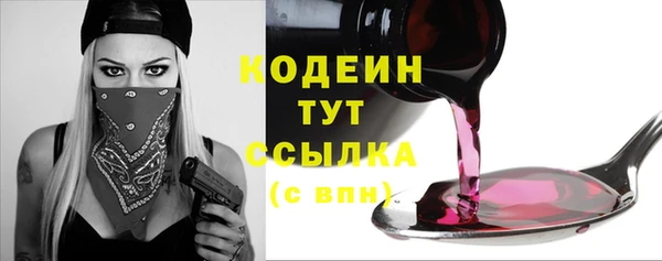 Альфа ПВП Няндома