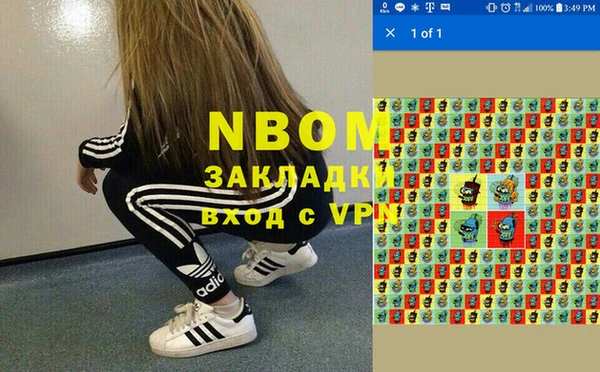 Альфа ПВП Няндома