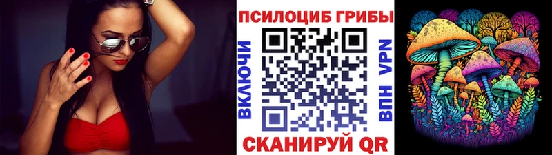 наркота  Полярный  Галлюциногенные грибы прущие грибы 
